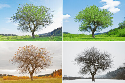 iStock_000008708575XSmall
